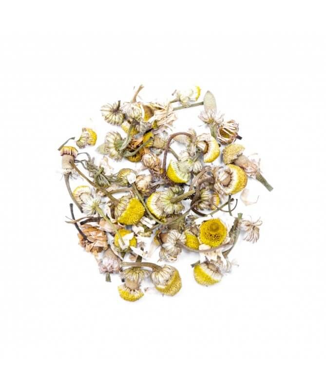 Chamomile