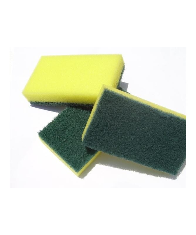 Esponjas para Trastes (2 piezas)