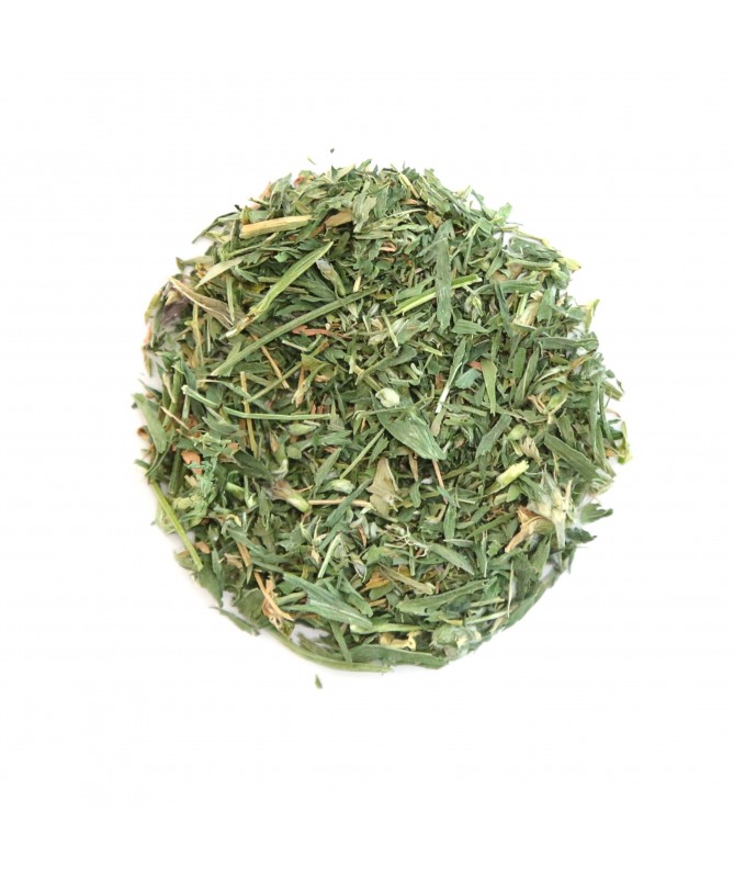 Hoja de Alfalfa