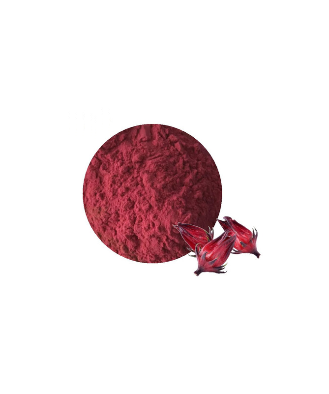 Jamaica Organica en Polvo