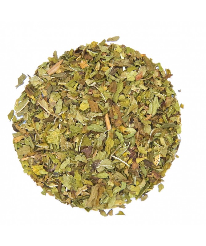 Menta Organica