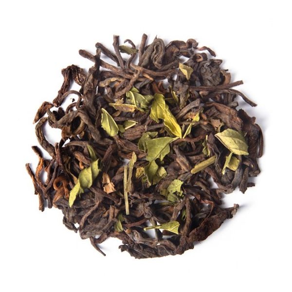 Pu Erh Menta