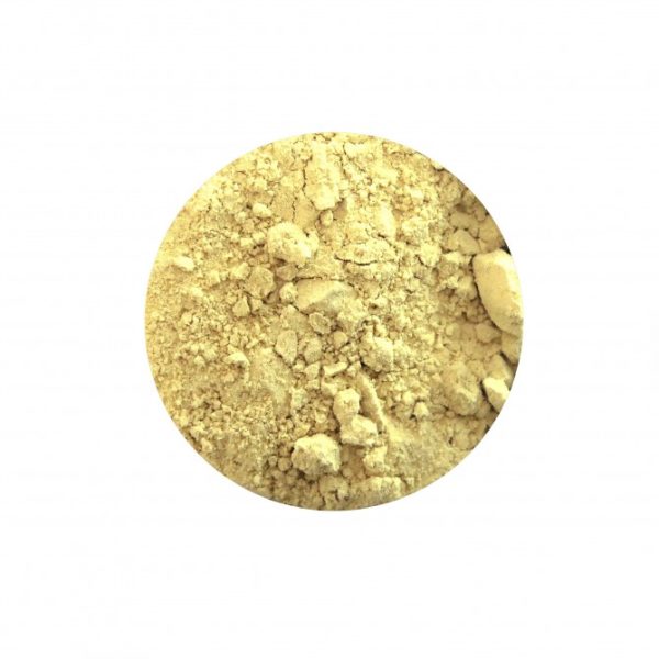 Raiz de Jengibre en Polvo