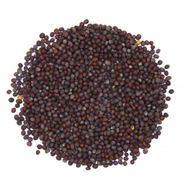 Semilla de Mostaza Cafe