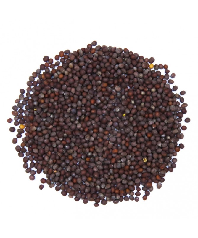 Semilla de Mostaza Cafe