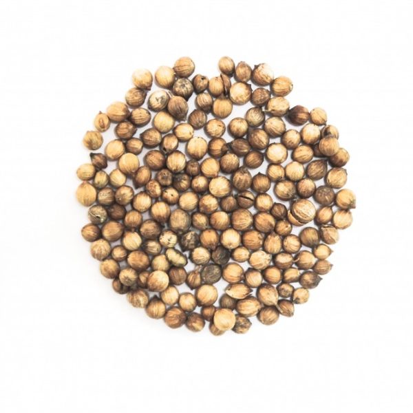 Semillas de Cilantro