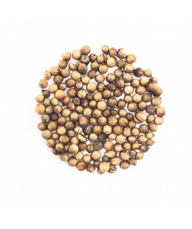 Semillas de Cilantro