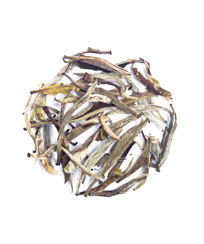 Té Blanco Aguja de Plata con Jazmín