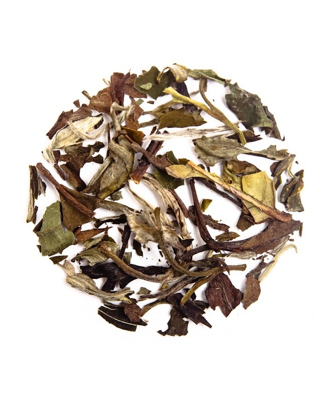 Té Blanco Durazno Jengibre